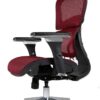 Nouhaus Ergo3D Ergonomic Office Chair Lumbar Support Mesh Office Chair with 4D Adjustable Armrest, Adjustable Headrest and Wheels, Mesh High Back Home Office Desk Chairs(Burgundy) - Hình ảnh chính